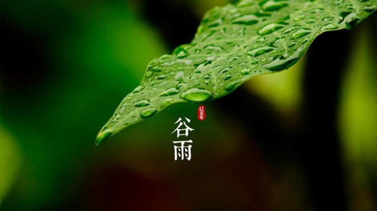 谷雨|喝一杯純凈好水，沐一場人間春色